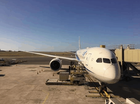 【ハワイ旅行予定の方へ】ホノルル空港で“保安スタッフ削減”！混雑・遅延に要注意