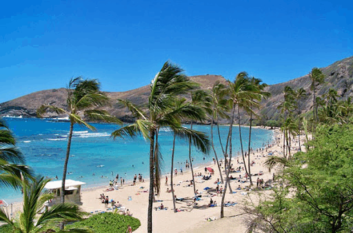 【ハワイビジネス情報館】今年の夏ハワイに行く人向けのおススメ・カジュアルレストランの紹介