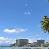 【ハワイビジネス情報館】コナで空から虫退治!?