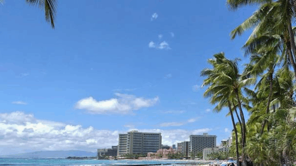 【ハワイビジネス情報館】コナで空から虫退治!?