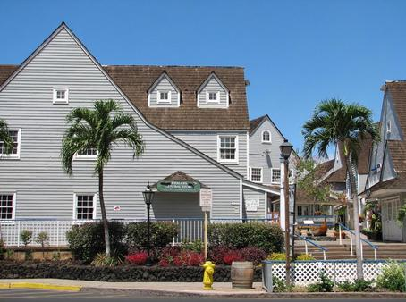 【ハワイビジネス情報館】【ハワイ移住やビジネス検討中の方必見】マウイ島の短期レンタル規制「Bill 9」のインパクトとは?