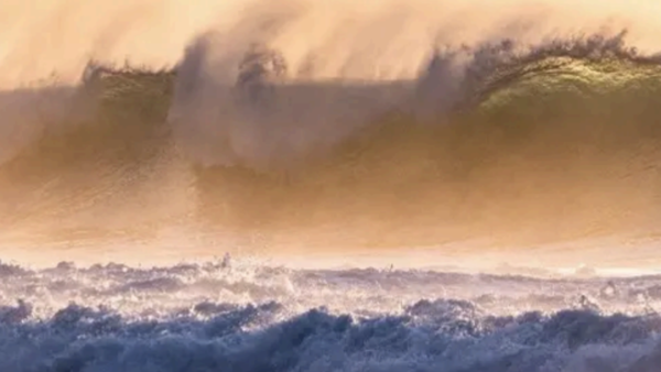 309 強力な顧客基盤 × 受動的収入が期待できるM&A 案件