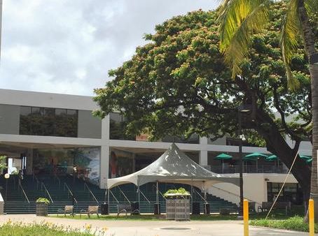 ハワイ鉄道延伸の最新動向:ハワイ大学マノア校への接続が現実に?