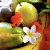 328 コナコーストで“農・宿泊・体験” を一体で引き継ぐ収益を生む老舗ファーム＆ホスピタリティ事業 M&A 案件