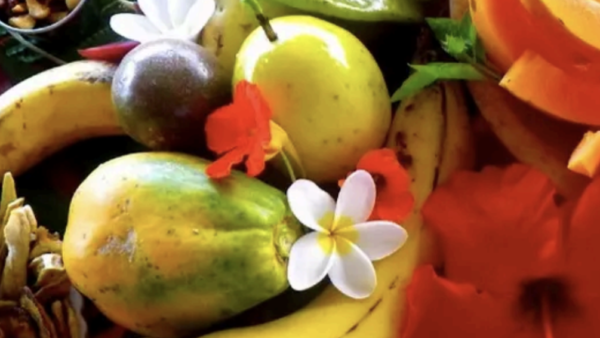 328 コナコーストで“農・宿泊・体験” を一体で引き継ぐ収益を生む老舗ファーム＆ホスピタリティ事業 M&A 案件