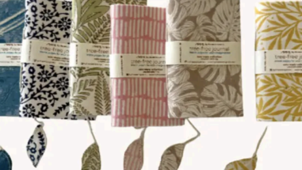 331 拡張可能なオーガニックファッション＆ギフト事業 M&A 案件