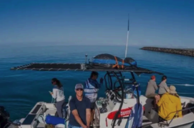 336 ハワイ島コハラコーストで海を仕事にするホエールウォッチング＆海洋ツアー事業 M&A 案件